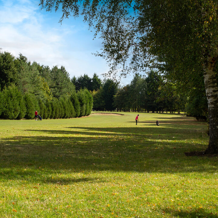 Large Enderby Golf Course with tall trees, two people playing golf under a blue sky.