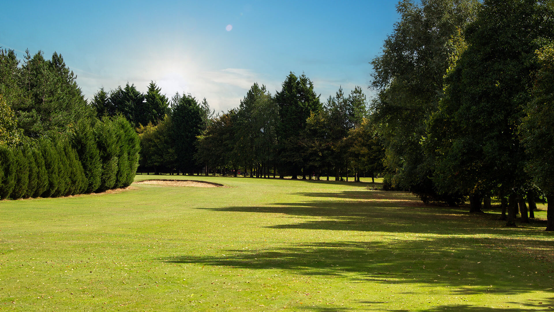 Sunny golf course with green grass, sand bunker, and trees along the edge.