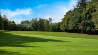 Enderby Golf course green with a flagstick, bordered by trees under a blue sky with clouds.