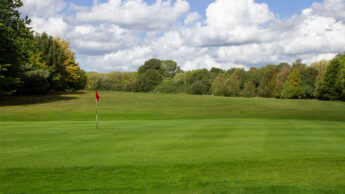 Enderby Golf course green with a flagstick, bordered by trees under a blue sky with clouds.
