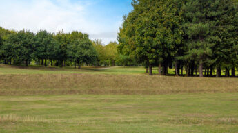 Grassy golf course with trees on both sides under a bright blue sky with some clouds.