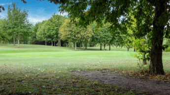 Grassy golf course with trees on both sides under a bright blue sky with some clouds.