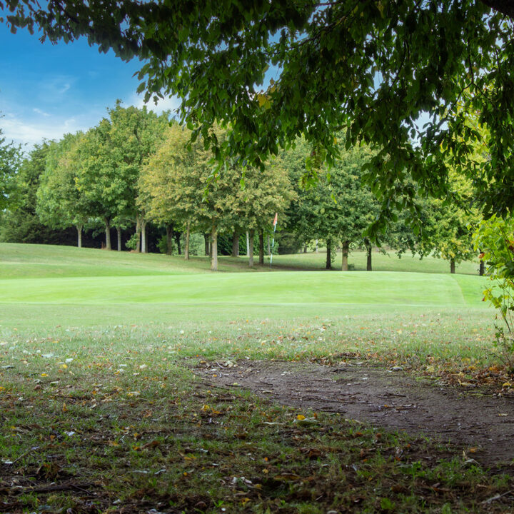 Grassy golf course with trees on both sides under a bright blue sky with some clouds.