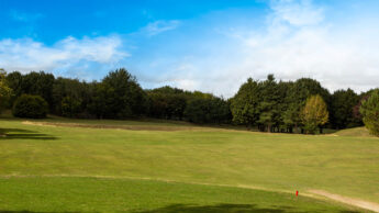 Grassy golf course with trees on both sides under a bright blue sky with some clouds.