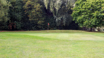 Enderby Golf course green with a flagstick, bordered by trees under a blue sky with clouds.