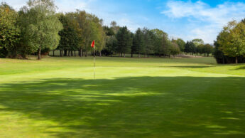 Enderby Golf course green with a flagstick, bordered by trees under a blue sky with clouds.