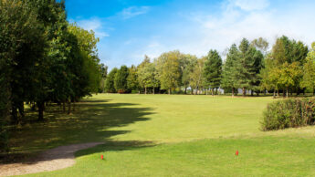Grassy golf course tee with trees on both sides under a bright blue sky with some clouds.