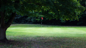 A golf green with a red flag, shaded by large trees on a sunny day.