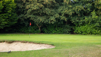 Enderby Golf course green with a flagstick, bordered by trees under a blue sky with clouds.