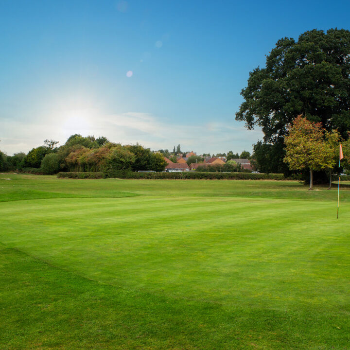 Enderby Golf course green with a flagstick, bordered by trees under a blue sky with clouds.