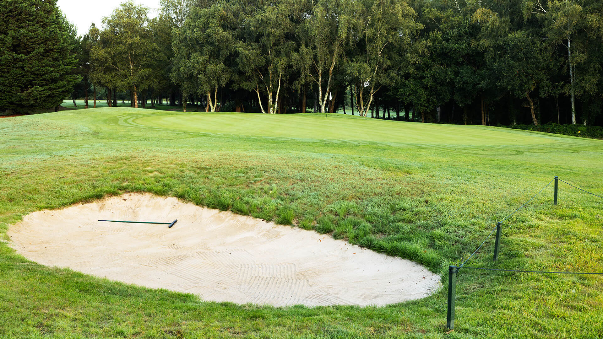 Hole 1 Downshire Golf Complex