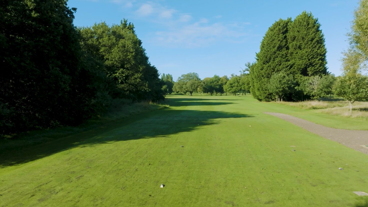 Downshire Golf Complex Hole 12