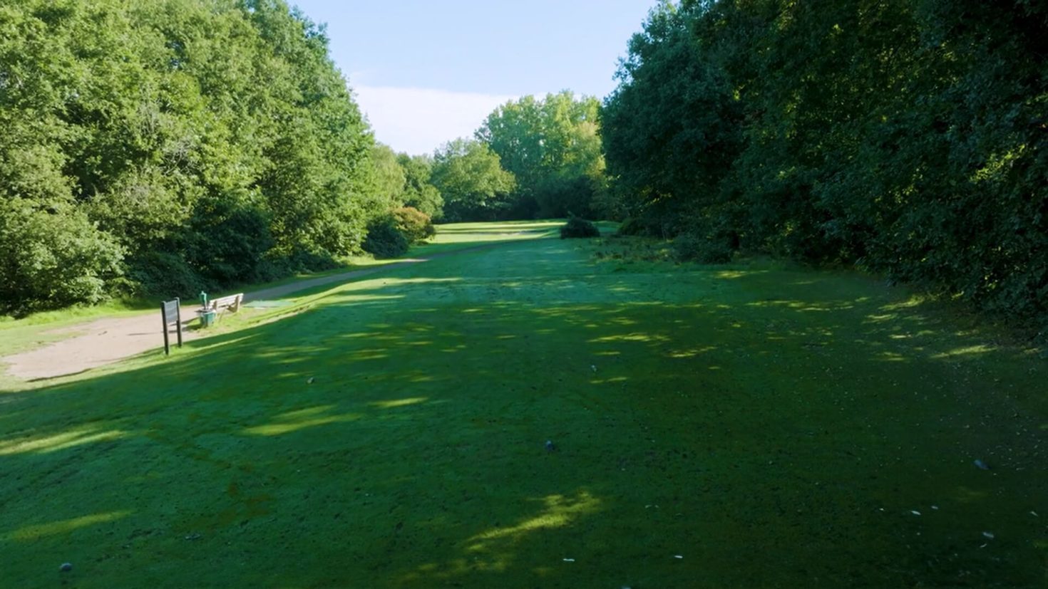 Downshire Golf Complex Hole 14