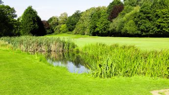 Hole 16 Downshire Golf Complex