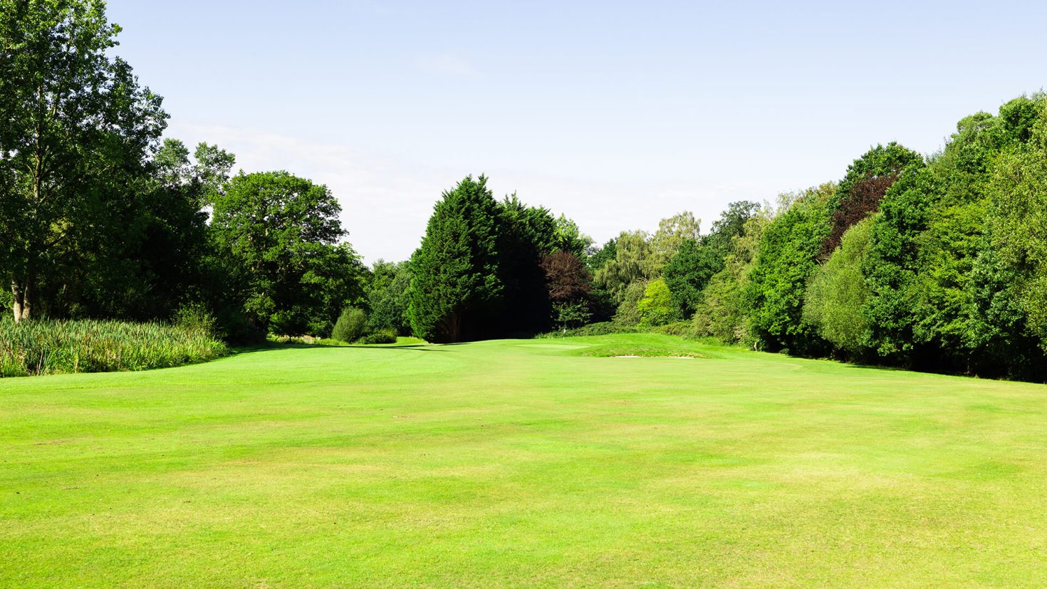 Hole 16 Downshire Golf Complex