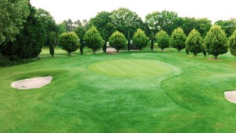 Hole 18 Downshire Golf Complex