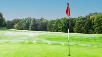 Hole 2 Downshire Golf Complex