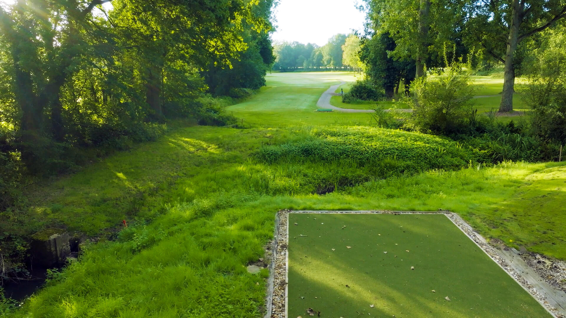 Downshire Golf Complex Hole 4