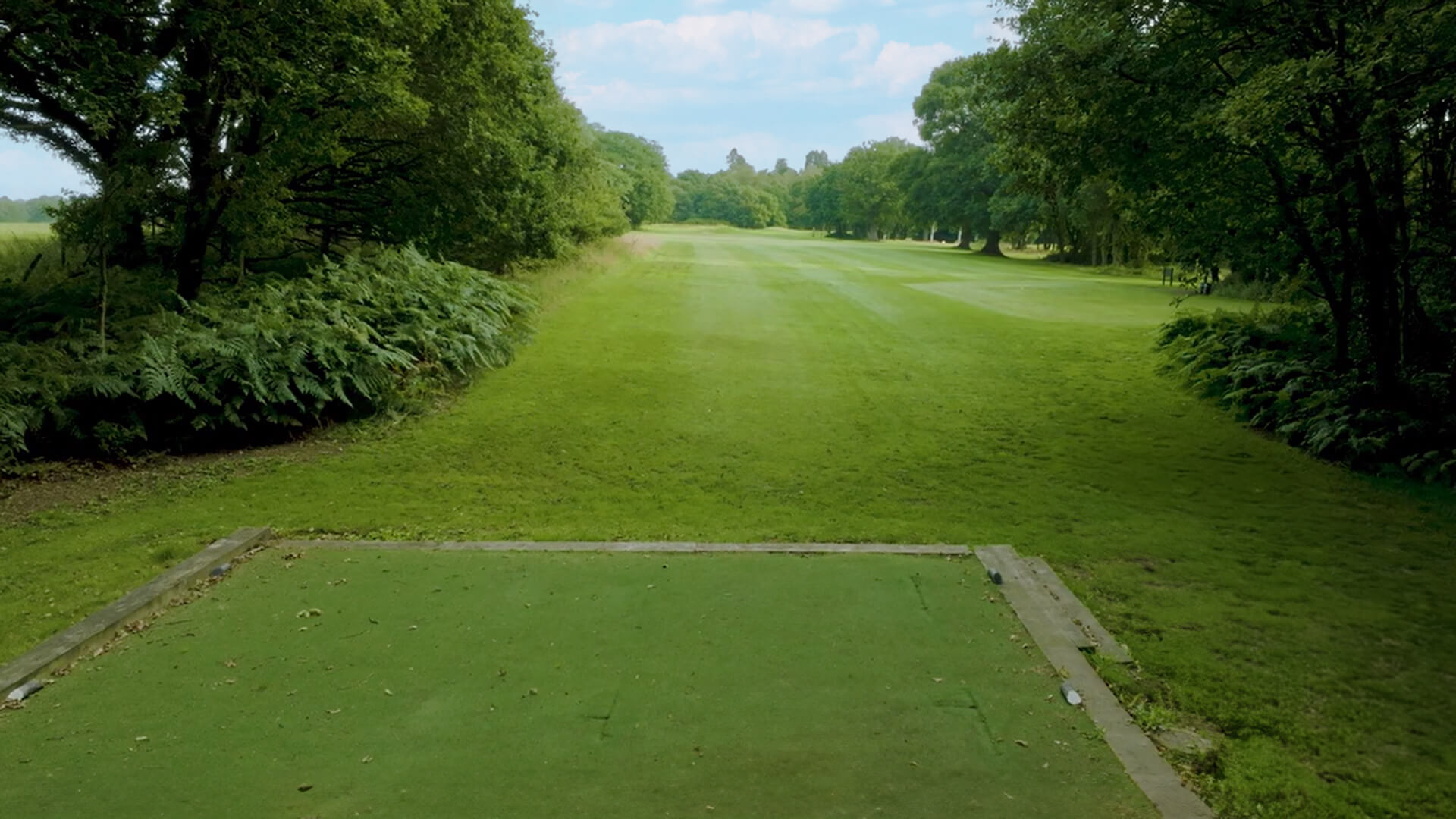 Downshire Golf Complex Hole 8