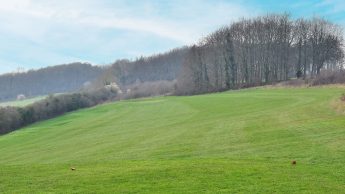 Lullingstone Golf Course - Valley Course Hole 7