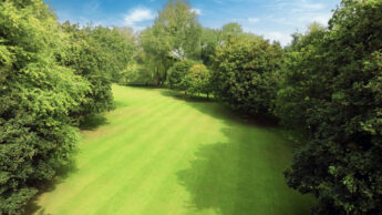 Vivary Golf & Adventure Centre, Taunton - 18-hole golf course.