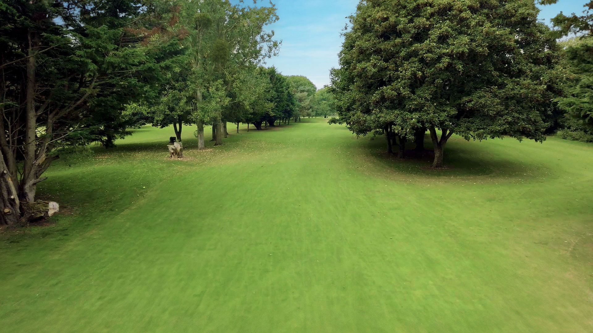 Vivary Golf & Adventure Centre, Taunton - 18-hole golf course.