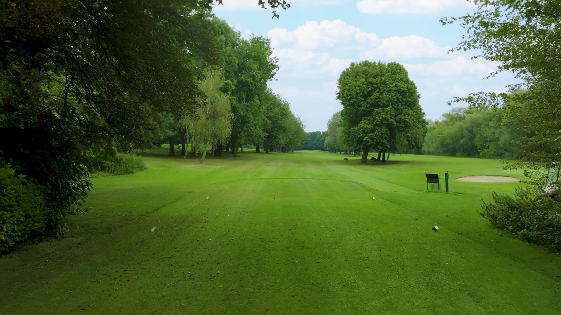 Vivary Golf Course Hole 12