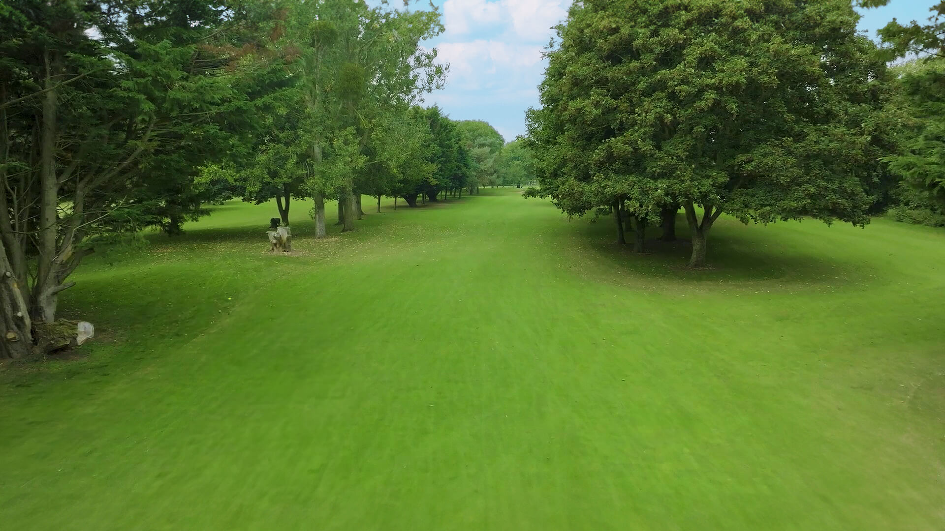 Vivary Golf Course Hole 7