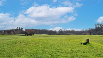 Lullingstone Golf Course - Hole 1