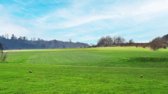 Lullingstone Golf Course - Hole 12