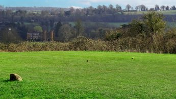 Lullingstone Golf Course - Hole 12