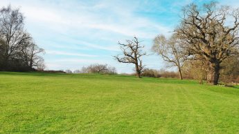 Lullingstone Golf Course - Hole 14