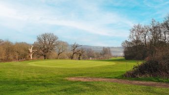 Lullingstone Golf Course - Hole 14