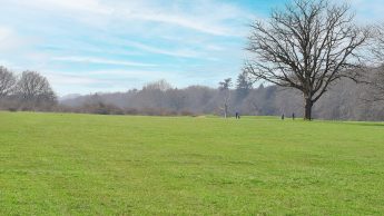 Lullingstone Golf Course - Hole 15