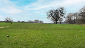 Lullingstone Golf Course - Hole 15