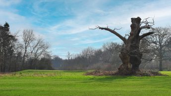 Lullingstone Golf Course - Hole 18