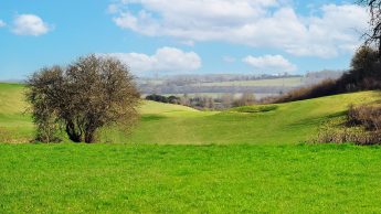Lullingstone Golf Course - Hole 5