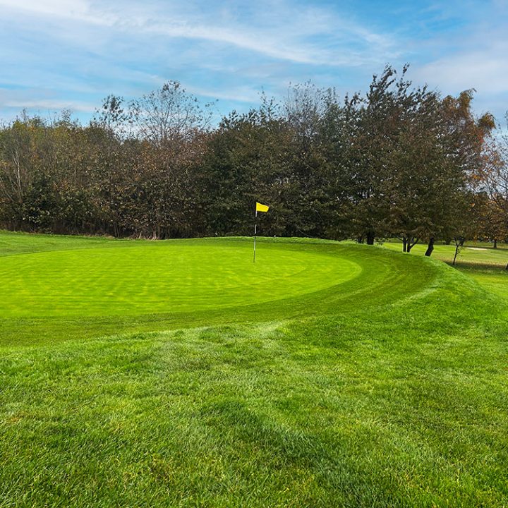 Birley Wood Golf Course Hole 17