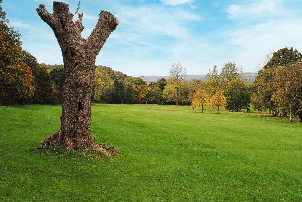 Beauchief Golf Course Hole 10