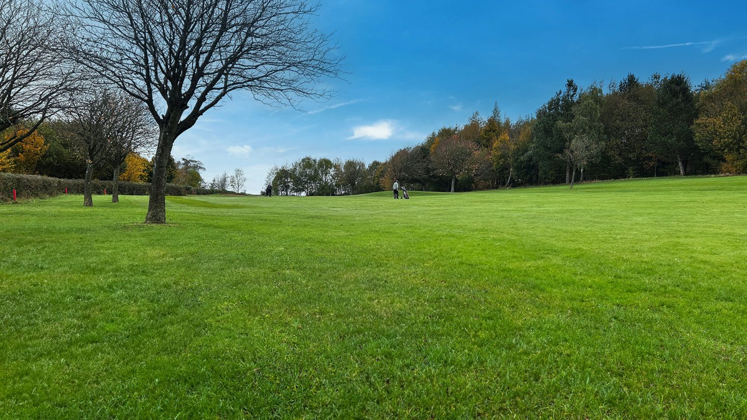 Birley Wood Golf Course - Hole 11