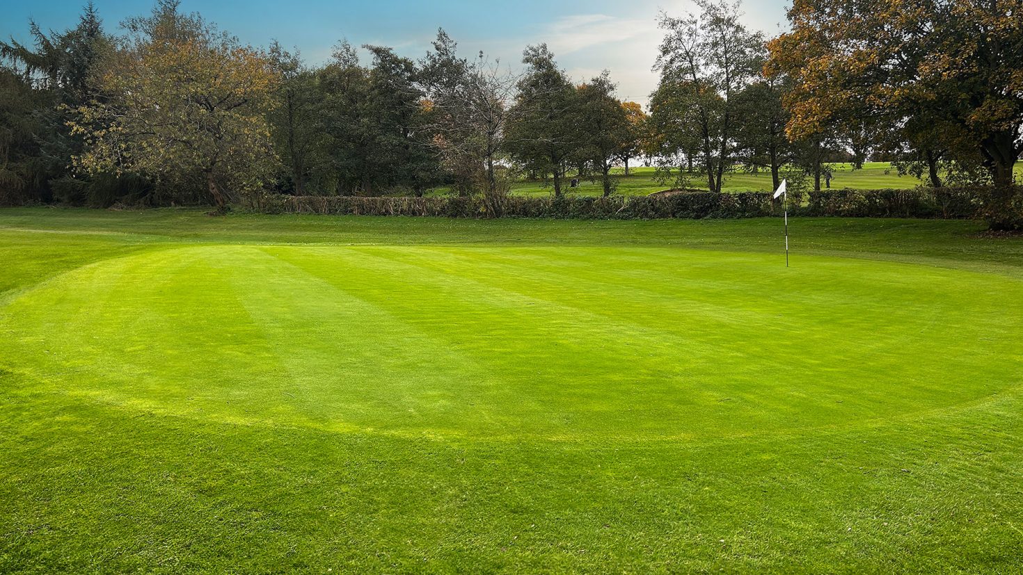 Birley Wood Golf Course - Hole 18