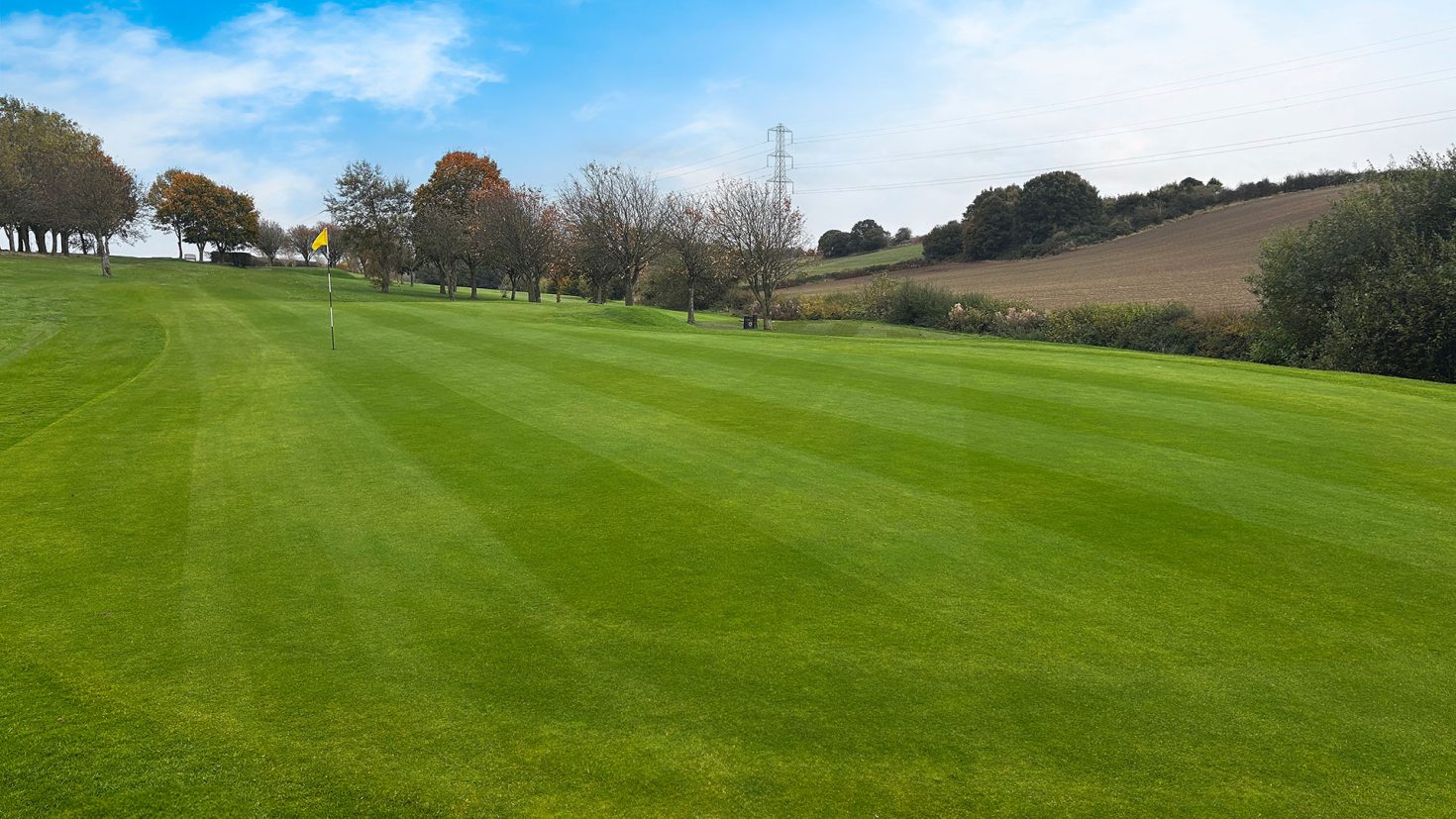 Birley Wood Golf Course - Hole 5