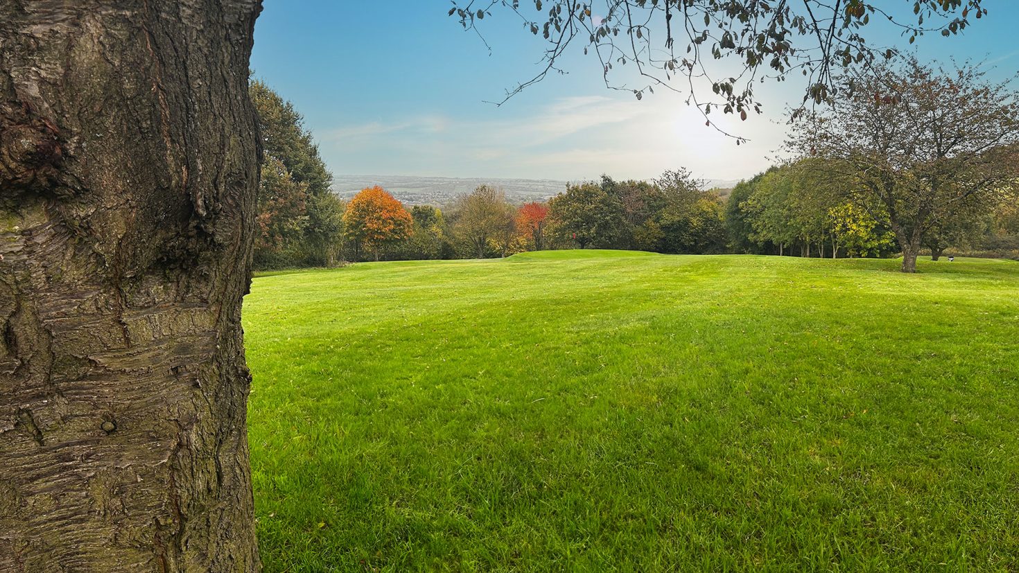 Birley Wood Golf Course - Hole 7