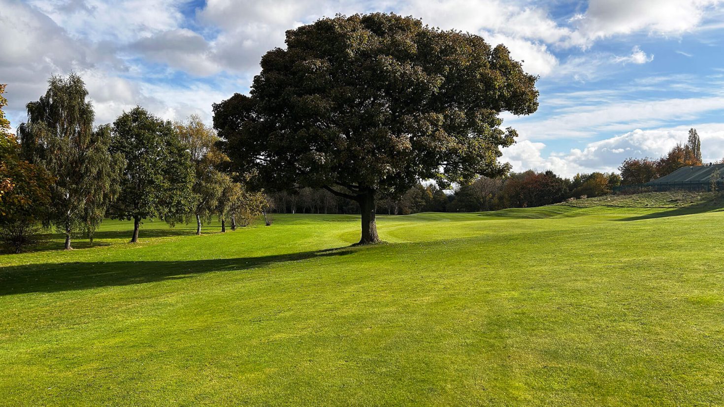 Tinsley Park Golf Course Hole 1