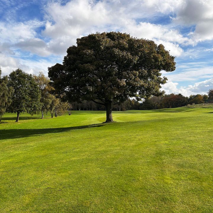 Tinsley Park Golf Course Hole 1