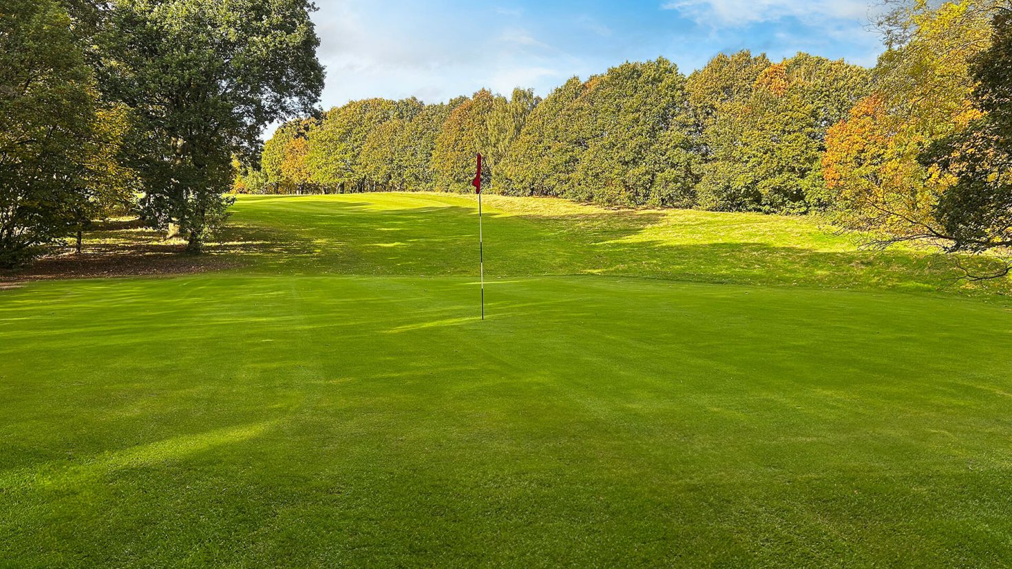 Tinsley Park Golf Course Hole 12