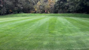 Tinsley Park Golf Course Hole 15