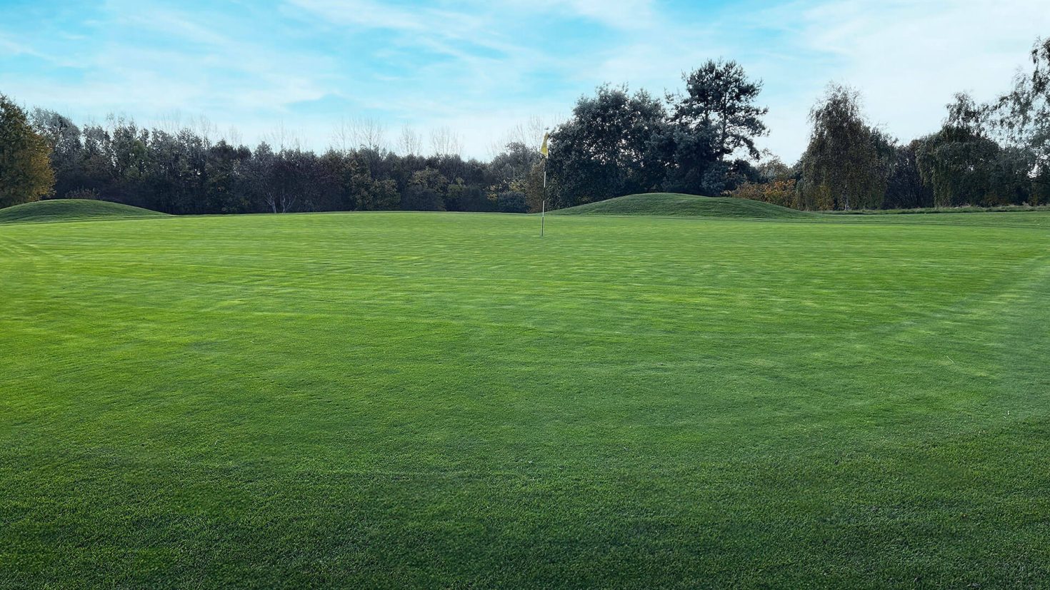 Tinsley Park Golf Course Hole 6