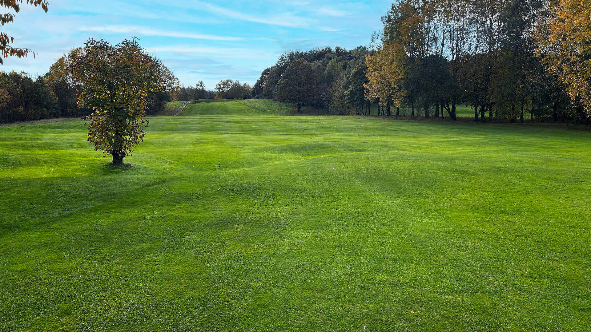 Tinsley Park Golf Course Hole 7