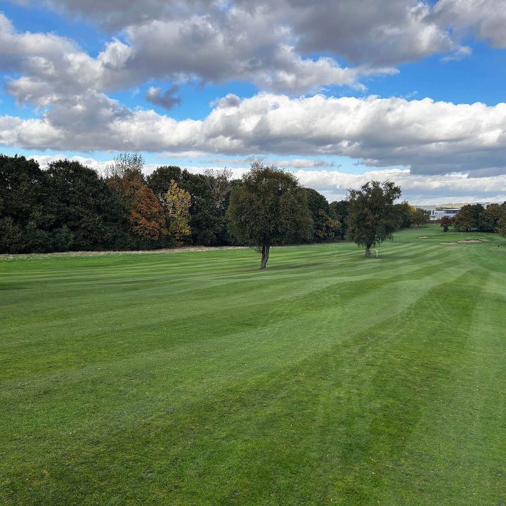 Tinsley Park Golf Course Hole 8